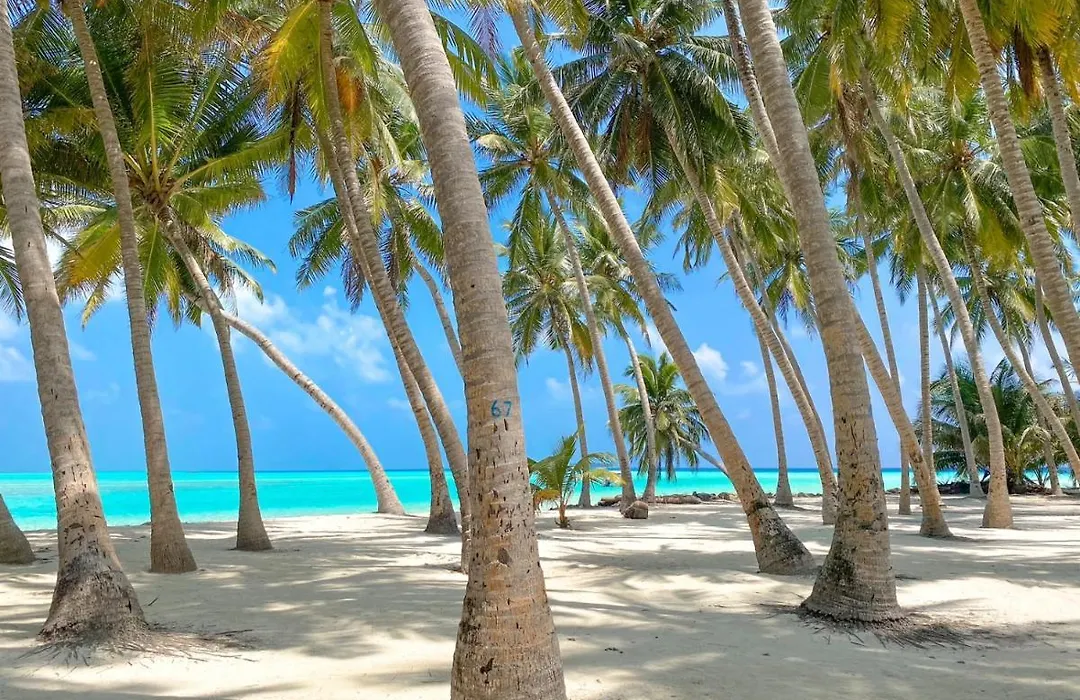 Captal Island Villa-1